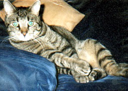 auf derCouch