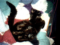 in der Decke