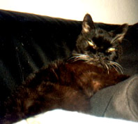 auf der Couch