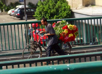 Blumenverk&auml;ufer in Kairo