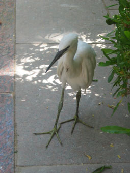 Botanischer Garten
