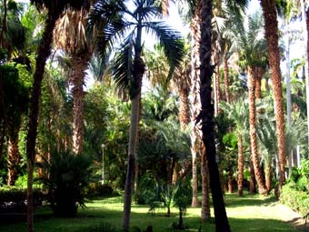 Botanischer Garten in Assuan