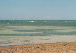 Playa Confresi (bei Puerto Plata)