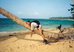 in Las Terrenas