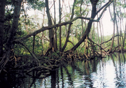 Nationalpark