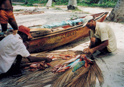 Fischer in Samana