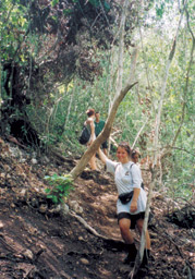 Wanderung auf Cajo Levantado