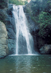 aber der Baiguate hatte Wasser!