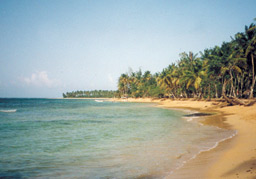 Las Terrenas