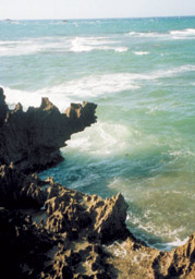 Malec&ograve;n von Puerto Plata