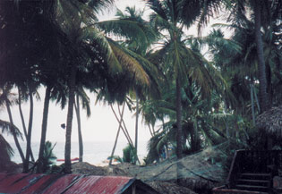 Blick vom Balkon in Punta Cana