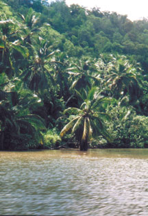 Ufer vom Chavon