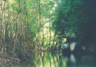Nationapark Los Haitises