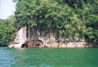 Los Haitises