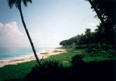 El Paraiso