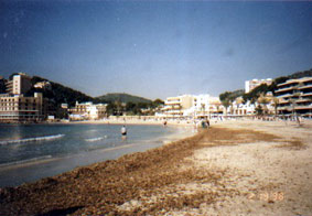 Strand von Paguera