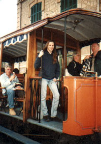 Vogel in der Tram