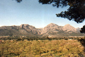 Berge