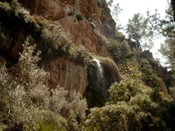 Wasserfall
