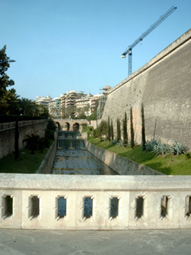 Palma