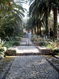 Tom in Alfabia