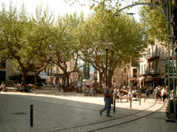 Soller