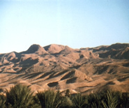 Tamerza