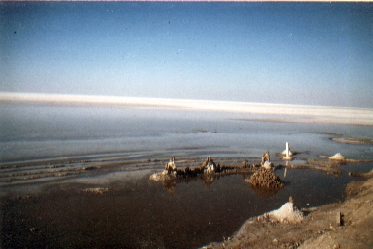 Salzsee