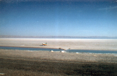 salzsee